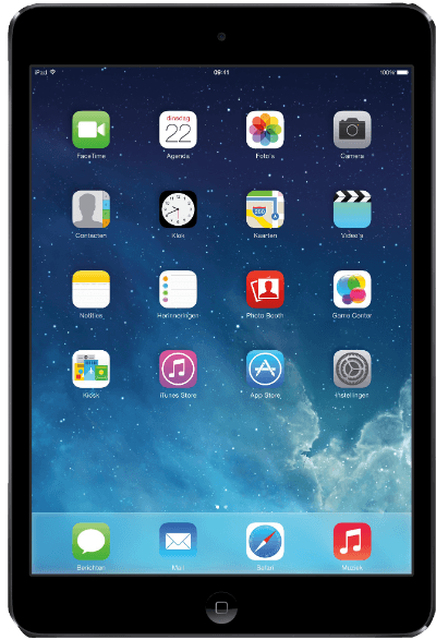 010-ipad 2 mini